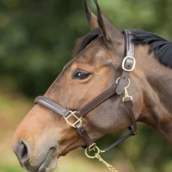 HFI MASTER Licol cuir cheval muserolle bombée - HFI< Licols