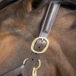 HFI MASTER Licol cuir cheval muserolle bombée - HFI< Licols