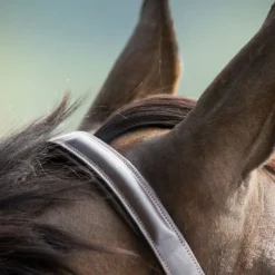 HFI MASTER Licol cuir cheval muserolle bombée - HFI< Licols