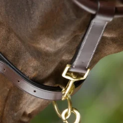 HFI MASTER Licol cuir cheval transport/grooming - HFI< Licols