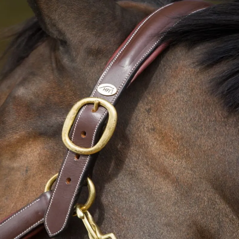 HFI MASTER Licol cuir cheval transport/grooming - HFI< Licols