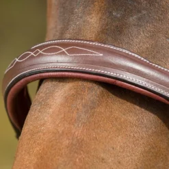 HFI MASTER Licol cuir cheval transport/grooming - HFI< Licols