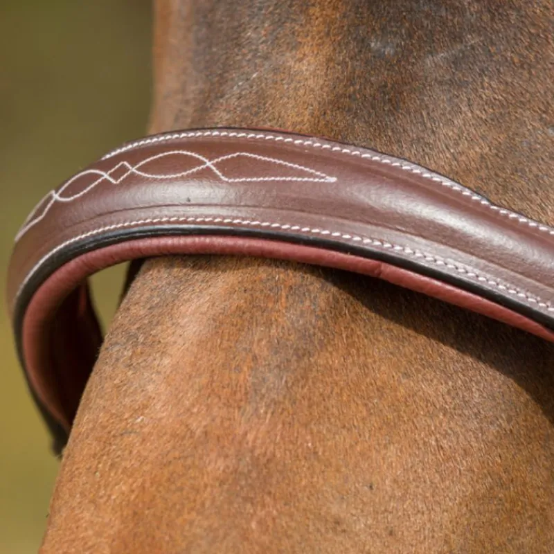 HFI MASTER Licol cuir cheval transport/grooming - HFI< Licols