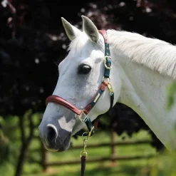 SHIRES Licol cuir et nylon cheval Velociti Lusso -< Licols