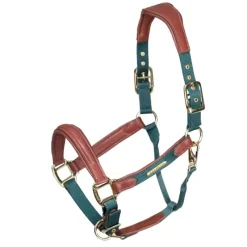 SHIRES Licol cuir et nylon cheval Velociti Lusso -< Licols