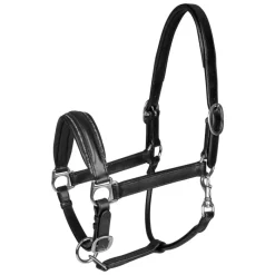 WALDHAUSEN Licol cuir et strass cheval Glamour S-Line -< Licols