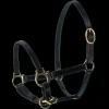 WALDHAUSEN Licol cuir poulain Star -< Licols