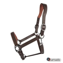 ANTARES Licol cuir Signature - Antarès< Licols