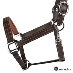 ANTARES Licol cuir Signature - Antarès< Licols