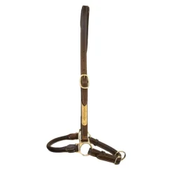 KENTUCKY HORSEWEAR Licol de pansage cheval simili-cuir - Kentucky< Accessoires Pansage|Licols