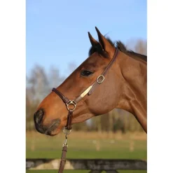 KENTUCKY HORSEWEAR Licol de pansage cheval simili-cuir - Kentucky< Accessoires Pansage|Licols