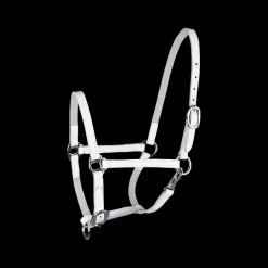 WALDHAUSEN Licol de présentation poulain cuir -< Licols