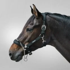 WALDHAUSEN Licol de sécurité cheval à chaine Pro Safety -< Equipement Concours|Licols