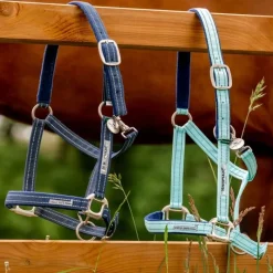 HORSEWARE Licol de sécurité cheval Fieldsafe -< Licols