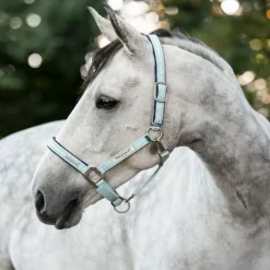 HORSEWARE Licol de sécurité cheval Fieldsafe -< Licols