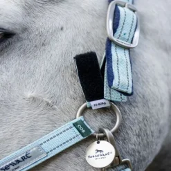 HORSEWARE Licol de sécurité cheval Fieldsafe -< Licols