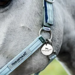HORSEWARE Licol de sécurité cheval Fieldsafe -< Licols