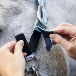 HORSEWARE Licol de sécurité cheval Fieldsafe -< Licols
