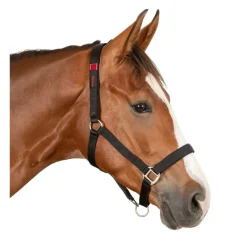 WALDHAUSEN Licol de sécurité cheval Safety -< Licols