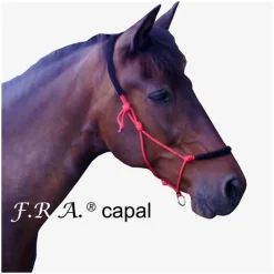 F.R.A. Licol de travail éthologique cheval rembourré Capal - F.r.a< Licols