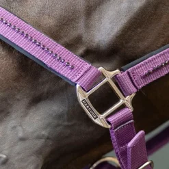 HARCOUR Licol et Longe cheval Amour -< Longes|Licols