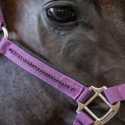 HARCOUR Licol et Longe cheval Amour -< Longes|Licols