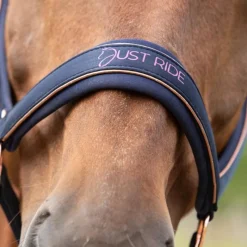 HARRY'S HORSE Licol et longe cheval Just Ride Nightsky -< Licols|Longes