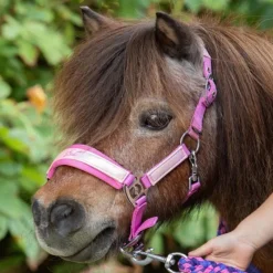 HARRY'S HORSE Licol et longe shetland Diva -< Longes|Licols