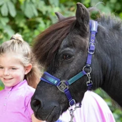 HARRY'S HORSE Licol et longe shetland Diva -< Longes|Licols