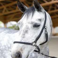 PRO-CONFORT HORSEWEAR Licol grooming cheval Dialou -< Licols