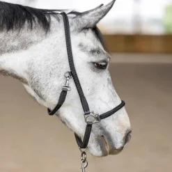 PRO-CONFORT HORSEWEAR Licol grooming cheval Dialou -< Licols