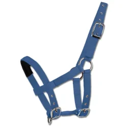 WALDHAUSEN Licol matelassé mini-shetland ou poulain -< Licols