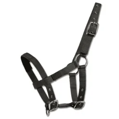 WALDHAUSEN Licol matelassé mini-shetland ou poulain -< Licols