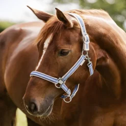 WALDHAUSEN Licol nylon cheval Atheltic -< Licols