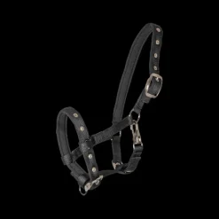 WALDHAUSEN Licol nylon poulain Confort -< Licols
