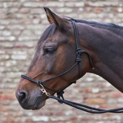WALDHAUSEN Licol éthologique cheval avec rênes -< Licols