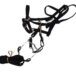 CAVALHORSE Licol-bride nylon avec rênes -< Bridons