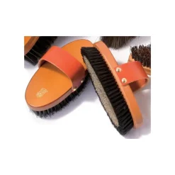 WALDHAUSEN Limande en poils de sanglier Hard Wood -< Brosses Et Bouchons Cheval