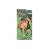 EQUIBOOKS Livre Le Quarter Horse Américain - Actes Sud< Librairie Equibooks
