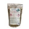 UNGULA NATURALIS Locomotion cheval -< Tendons, Articulations Cheval
