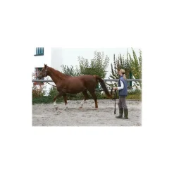 STABLE PRO Longe à tourner polypropylène 7,5 m< Longes
