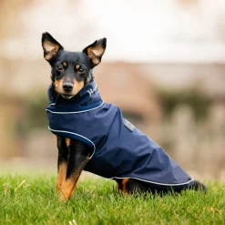 HORSEWARE Manteau chien imperméable Rain Coat Signature -< Manteau Pour Chien
