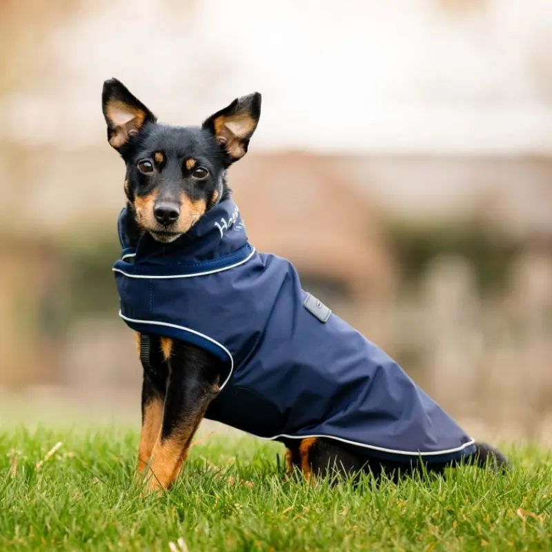 HORSEWARE Manteau chien imperméable Rain Coat Signature -< Manteau Pour Chien