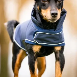 HORSEWARE Manteau chien imperméable Rain Coat Signature -< Manteau Pour Chien
