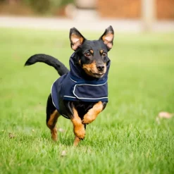 HORSEWARE Manteau chien imperméable Rain Coat Signature -< Manteau Pour Chien