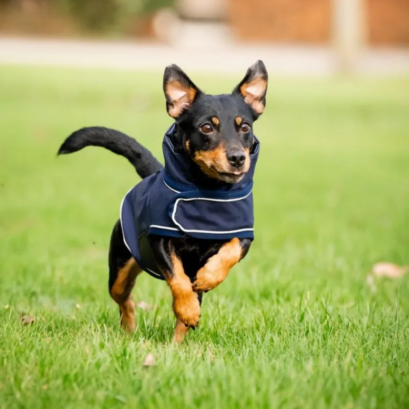 HORSEWARE Manteau chien imperméable Rain Coat Signature -< Manteau Pour Chien