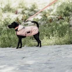 KENTUCKY DOGWEAR Manteau chien imperméable 160gr -< Manteau Pour Chien