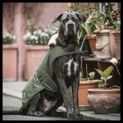 KENTUCKY DOGWEAR Manteau chien imperméable réfléchissant -< Manteau Pour Chien|Equipement Réfléchissant Cavalier