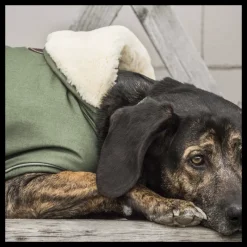 KENTUCKY DOGWEAR Manteau chien imperméable réfléchissant -< Manteau Pour Chien|Equipement Réfléchissant Cavalier