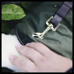 KENTUCKY DOGWEAR Manteau chien imperméable réfléchissant -< Manteau Pour Chien|Equipement Réfléchissant Cavalier